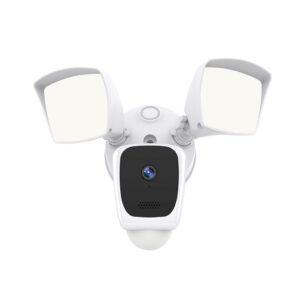 Smart Wireless 1080P Floodlight Camera