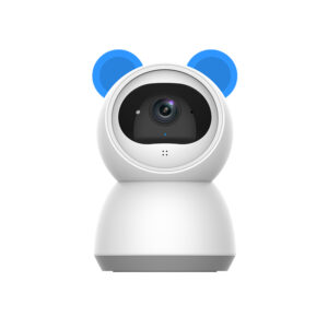 Smart Wireless 1080P P&T Camera