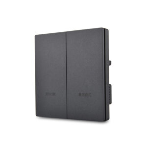 2 Gang 10A 250V Zigbee Smart Wall Switch Remote Control