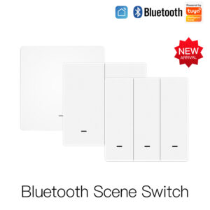 1 Gang Blutooth Wireless Scene Switch