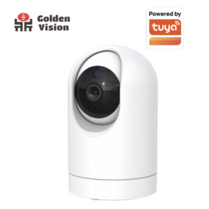 Golden Vision Smart PTZ Camera, Human Body Detection, Night Vision