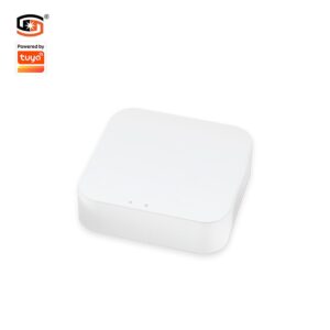 Smart Sigmesh Gateway