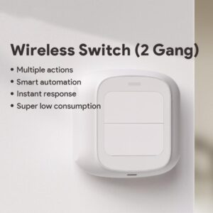 Smart 2 Gang Scene Button
