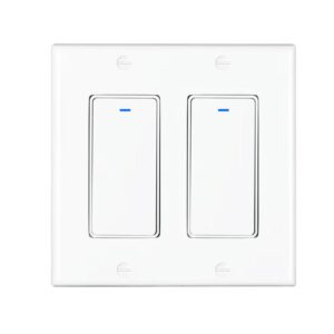 WiFi Push Button Switch 2Gang US or AU Type Works with Google Home & Alexa Echo
